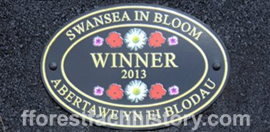 2013 Swansea in Bloom winner